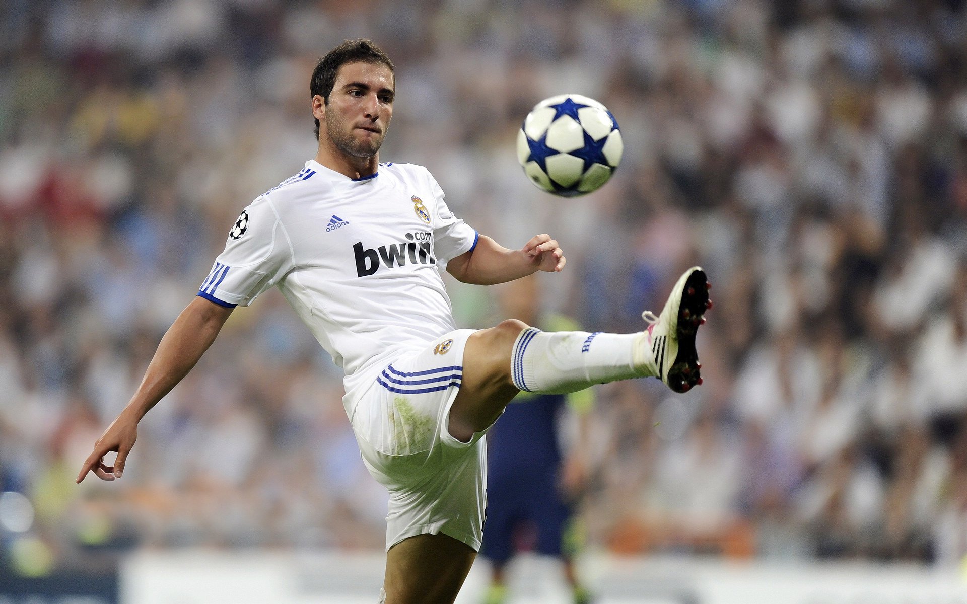 凯尔特人在季后赛中持续发挥塔图姆的“火焰模式”!,凯尔特人塔图姆超清壁纸